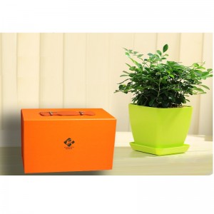 Portable Multifunctional Packaging Box